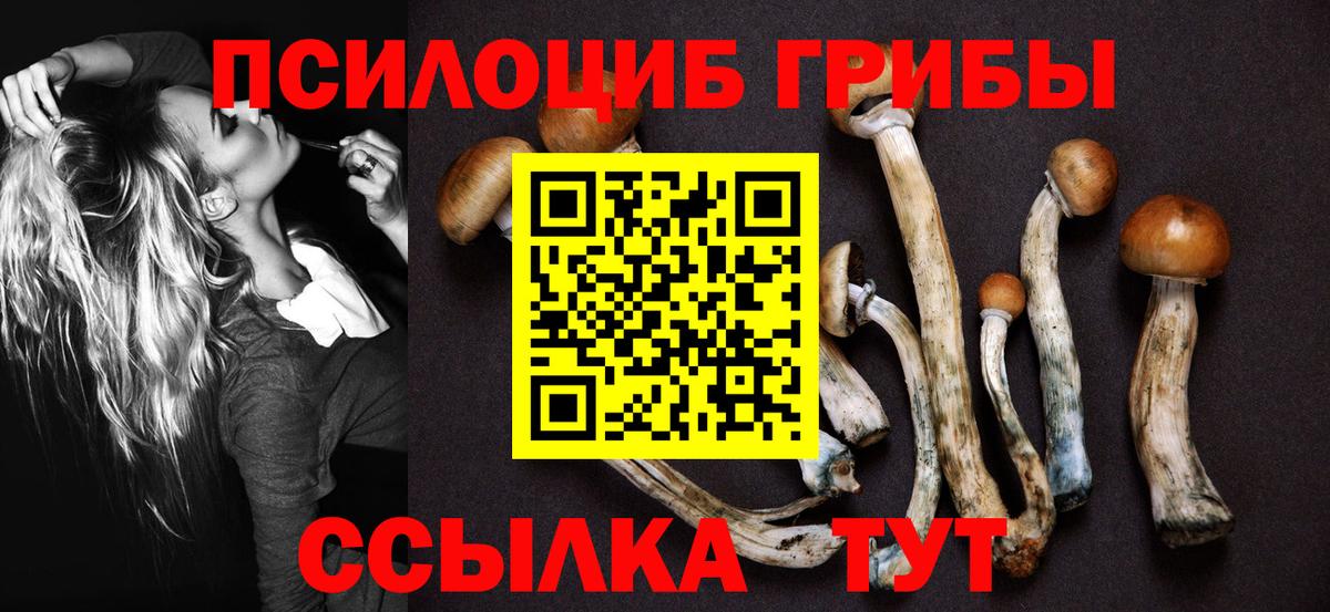 Галлюциногенные грибы Балашиха