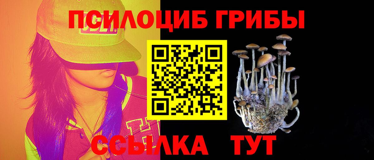 Балашиха  Псилоцибиновые грибы Magic Shrooms  Вход с VPN  Псилоцибиновые грибы прущие грибы 